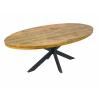 Esstisch oval 190x100cm Esszimmer Tisch Liverpool Mangoholz massiv stabil